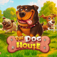 Tragaperras The Dog House en Geckoplay